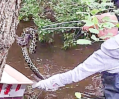Ein Helfer fing die Anakonda fachgerecht ein. (Foto: Polizeidirektion Bad Segeberg)
