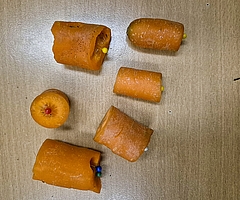 Unbekannte legten diese Köder aus: mit Nadeln bestückte Karotten. (Foto: Polizeidirektion Bad Segeberg)