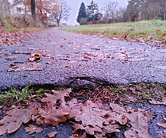 Solche Schlaglöcher halten Radfahrer auf dem Fahrradweg neben der L107 in Tornesch auf. Das Foto entstand im Licht der Morgensonne. (Foto: Frank)