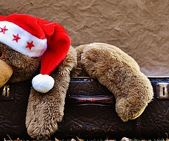 Dieser Bär wird leider nicht versteigert. (Symbolfoto: Pixabay)