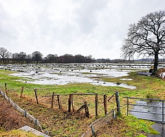 Überschwemmte Wiesen – derzeit ein häufiger Anblick im Verbreitungsgebiet unserer Zeitung. (Foto: Strandmann)