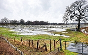 Überschwemmte Wiesen – derzeit ein häufiger Anblick im Verbreitungsgebiet unserer Zeitung. (Foto: Strandmann)