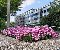 Private Unternehmen haben aufgrund steuerlicher Abschreibungsmöglichkeiten bessere finanzielle Möglichkeiten als die Stadt, ein denkmalgeschütztes Gebäude wie das Rathaus für eine Nachnutzung fit zu machen. Doch die Zeit, geeignete Konzepte und Investoren zu finden, drängt. (Foto: Strandmann/Archiv)