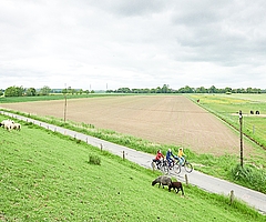 Radler nehmen ihre Heimat anders und intensiver als Autofahrer wahr. (Foto: GDM, Kratz)