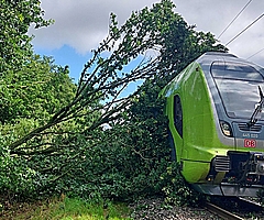 Der Baum fiel in die 15.000 Volt-Oberleitung. (Foto: Bundespolizei)