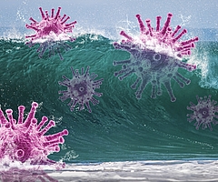 Die Barmer rechnet mit einer Scharlach-Welle bei Schulkindern. (Symbolfoto: Pixabay)