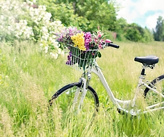 Die 7. Fahrradrallye führt durch die Natur rund um Barmstedt. (Symbolfoto: Pixabay)