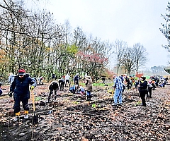 Auf Initiative des Vereins Citizens Forests pflanzten Freiwillige im Kreis Pinneberg bereits mehrere Bürgerwälder. (Foto: Citizens Forests)
