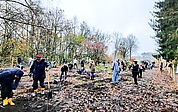 Auf Initiative des Vereins Citizens Forests pflanzten Freiwillige im Kreis Pinneberg bereits mehrere Bürgerwälder. (Foto: Citizens Forests)
