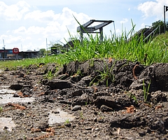 Diese Abkürzung für Radfahrer sieht nicht nur verboten aus, sie ist es auch. Der Weg in Sichtweite der Käpten-Jürs-Brücke ist nicht öffentlich. (Foto: Frank)