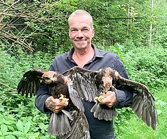 Tragische Rettung: Christian Erdmann, Leiter des Artenschutzzentrums in Klein Offenseth-Sparrieshoop mit den beiden überlebenden Rohrweihen auf dem Arm. (Foto: Wildtier- und Artenschutzzentrum)