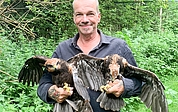 Tragische Rettung: Christian Erdmann, Leiter des Artenschutzzentrums in Klein Offenseth-Sparrieshoop mit den beiden überlebenden Rohrweihen auf dem Arm. (Foto: Wildtier- und Artenschutzzentrum)