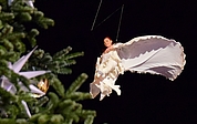 Die Engelsakrobatin fliegt hoch über den Köpfen der Menge über dem Alten Markt. (Foto: Frank)