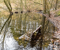 Die feuchteste Sitzbank von Elmshorn steht im Liether See – unter Wasser. (Foto: Frank)