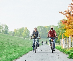 Die Radfahrer erleben die Natur hautnah. (Foto: Glückstadt Destination Management, Kratz)