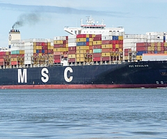 Die MSC Regulus blockiert aktuell den Schiffsverkehr für große Pötte auf der Elbe. Das Bild zeigt eine Archivaufnahme. (Foto: pixabay)