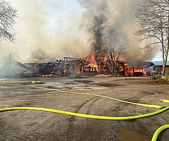 Zusammen mit der Heuscheune brannten auch Futtergetreide, Saatgut, Maschinen und ein Verbindungsbau zu einem Kuhstall ab. Etwa 80 Tiere wurden aber gerettet. (Foto: Kreisfeuerwehrverband Steinburg)