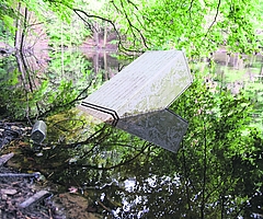 Ein Stromverteilerkasten ist bedrohlich weit in den See im Liether Wald gesunken. Nach Kenntnis der Stadtwerke Elmshorn soll er keinen Strom mehr führen. Verantwortlich ist aber die Stadt Elmshorn. (Foto: Frank)